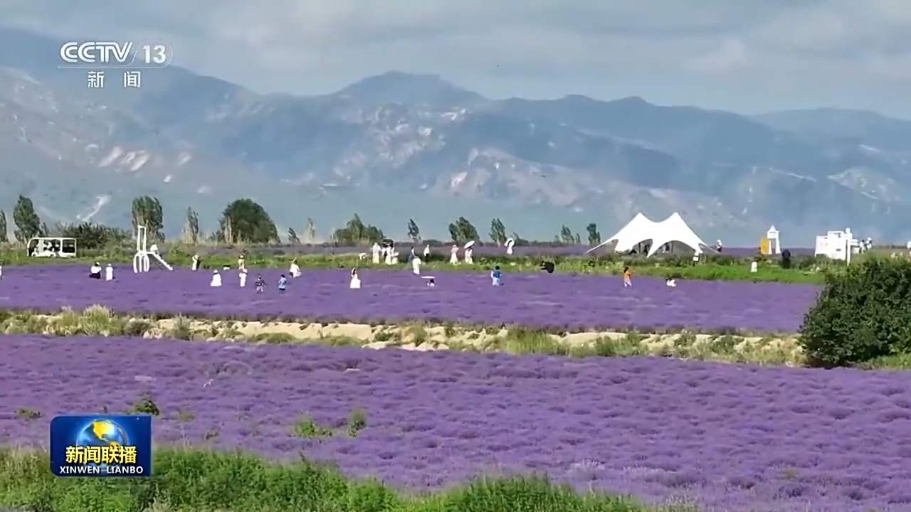 新思想引领新征程丨绘就乡村全面振兴壮美画卷