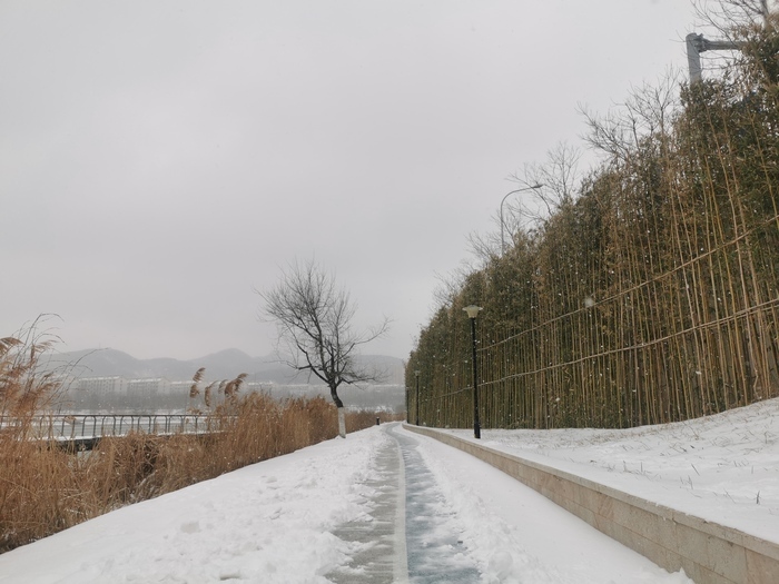 积雪深度已达9厘米这轮雪窝子落到章丘