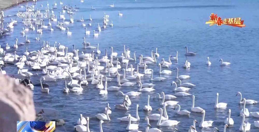 “齐鲁1号”迎来首个春节：穿行山海间的幸福列车