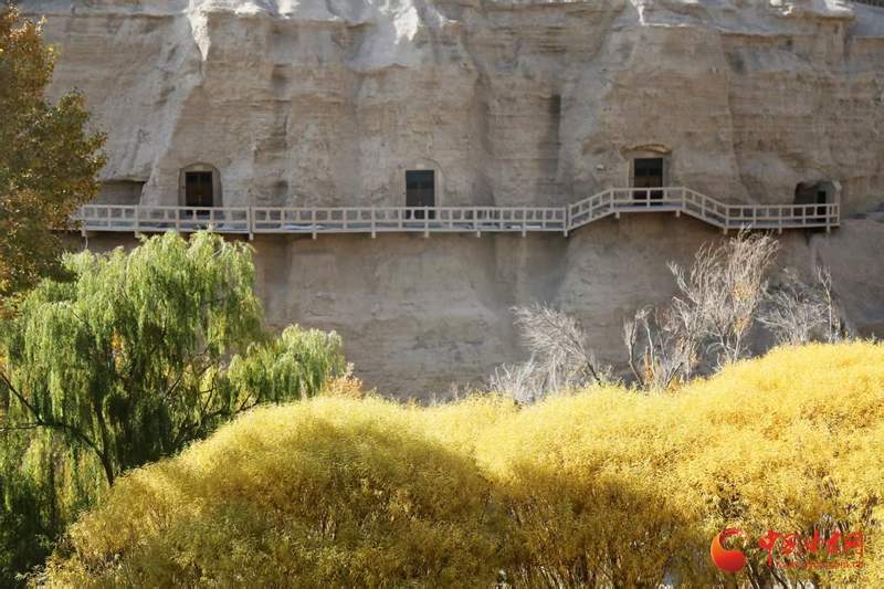 何以中国·壁画里的中国｜榆林窟壁画：古人的生活图鉴 “晒”出千年烟火气