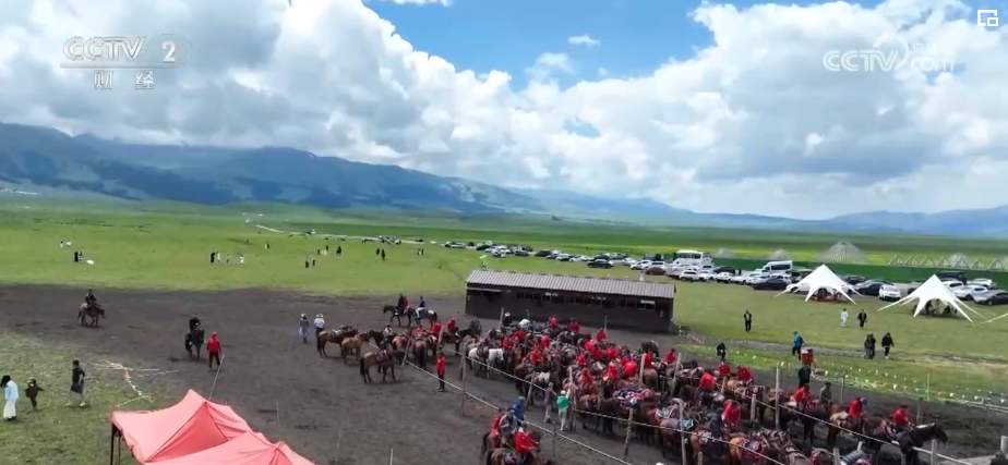 “不夜城”、房车游、草原游……夏日旅游市场“新”意足 吸引力拉满