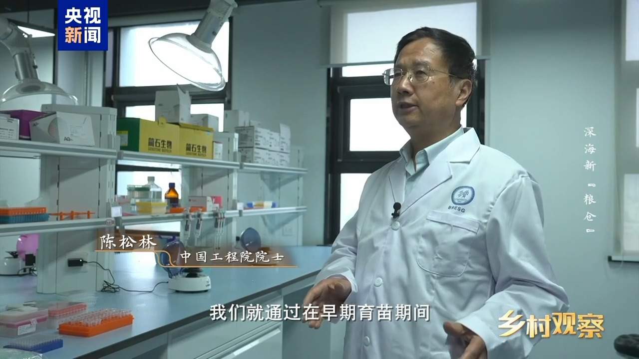 海上“全屋智能”！探访全球首艘三文鱼养殖工船