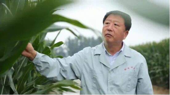 山东农人守护大国粮仓