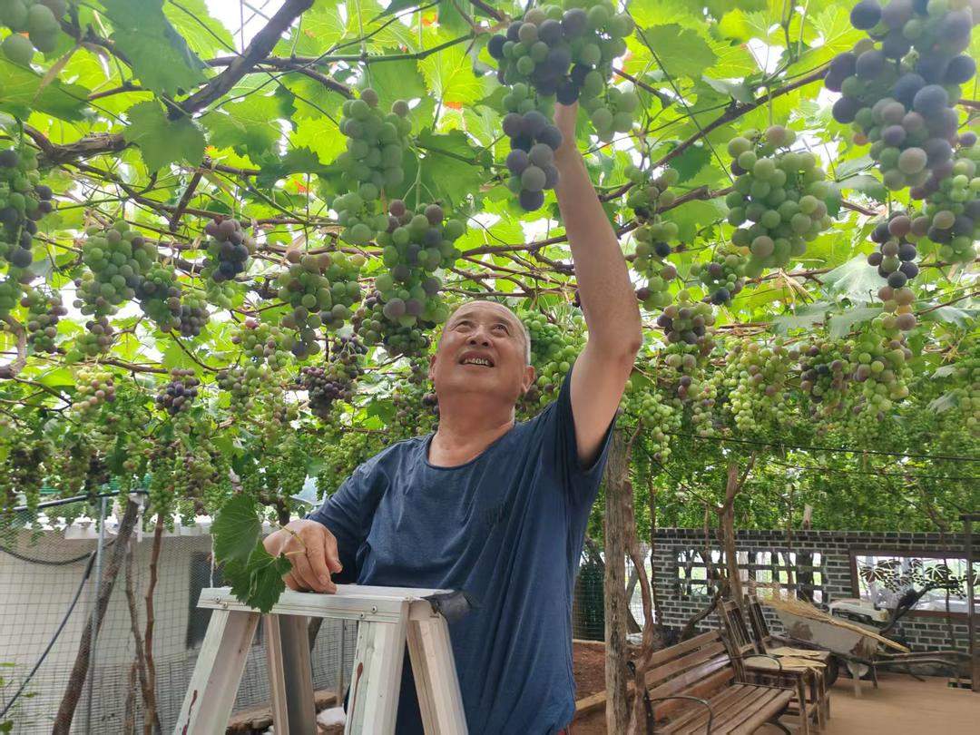 山中有百味，一山一滋味，枣庄山亭土特产“串起”共富梦