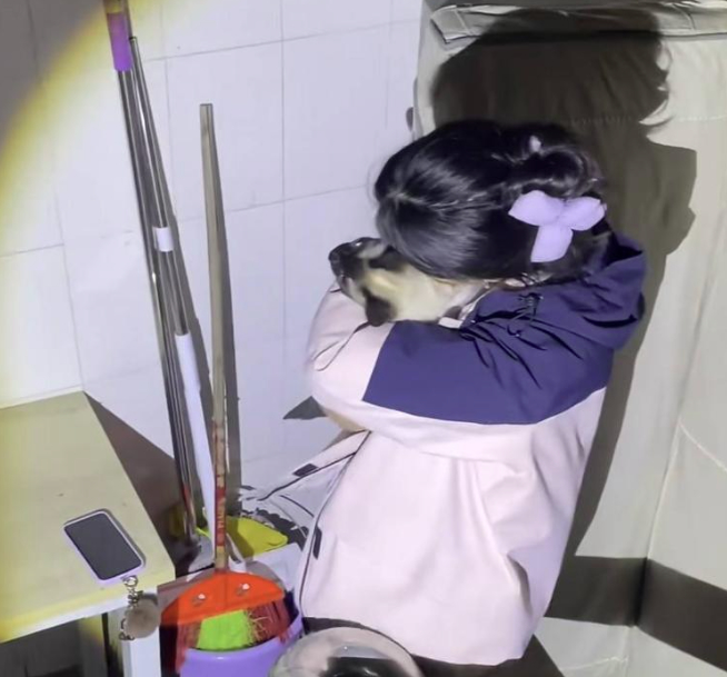 找一次猫狗最高收8000元?揭秘“寻宠师”行业