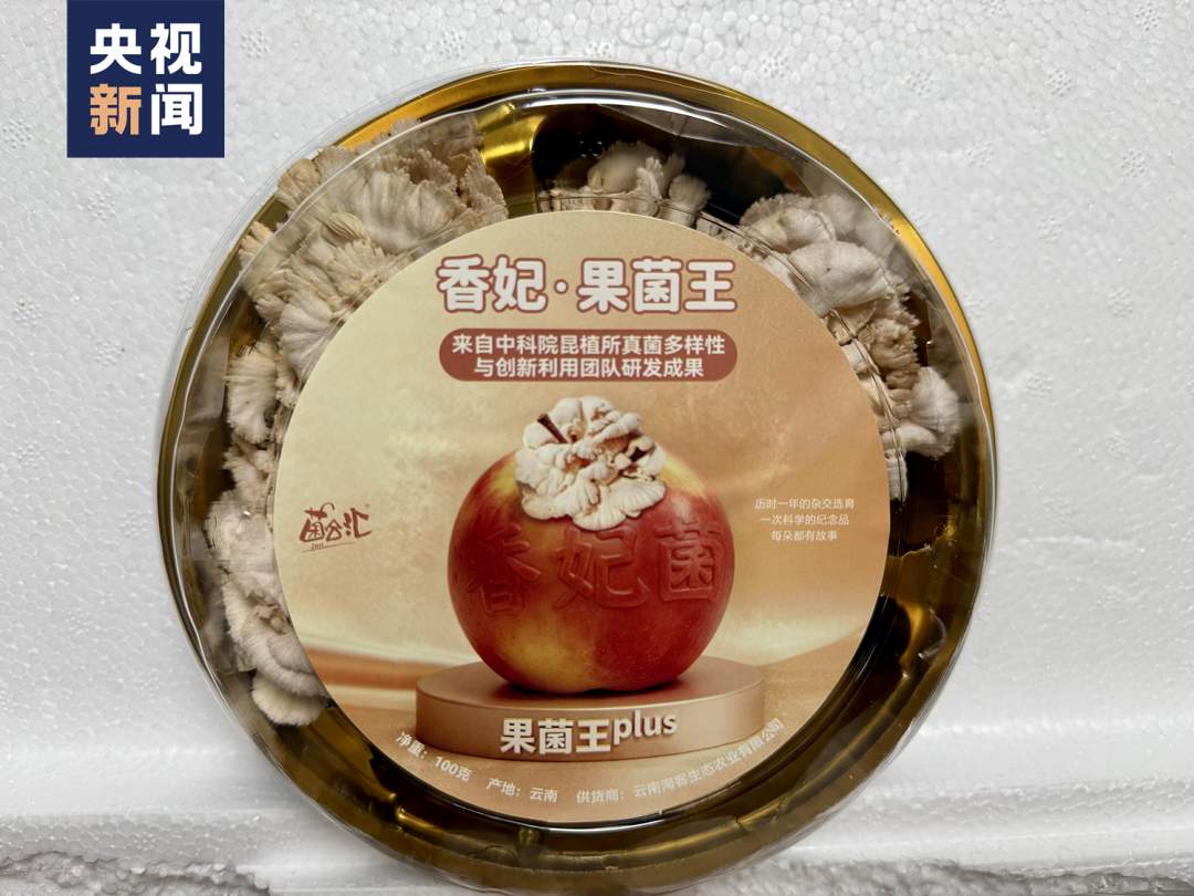 全网追更的“果菌王”，可以开吃了！