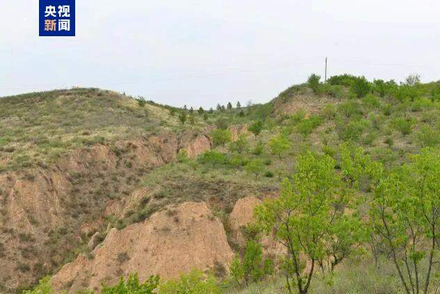 考古调查发现一段约13千米秦直道遗迹