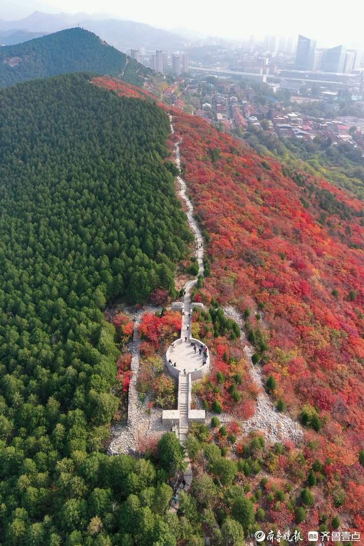 “平分秋色”有画面了，济南蝎子山现一山双色奇观