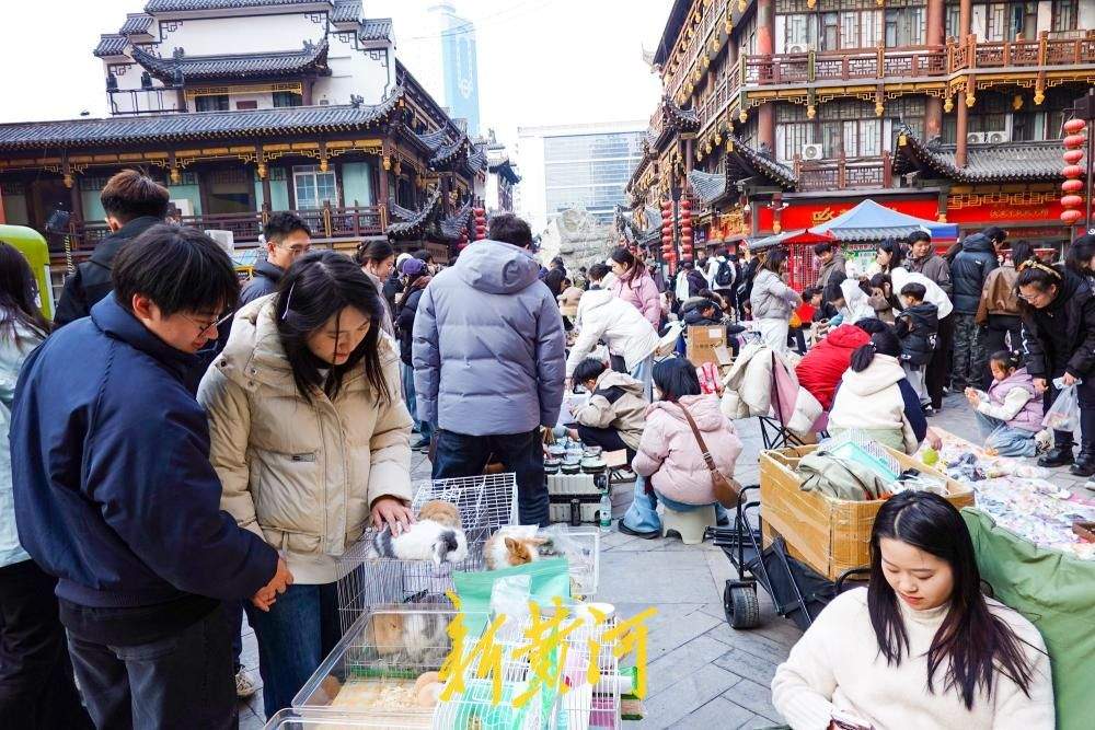 济南大观园周末夜市开张，烟火气里点亮“夜经济”