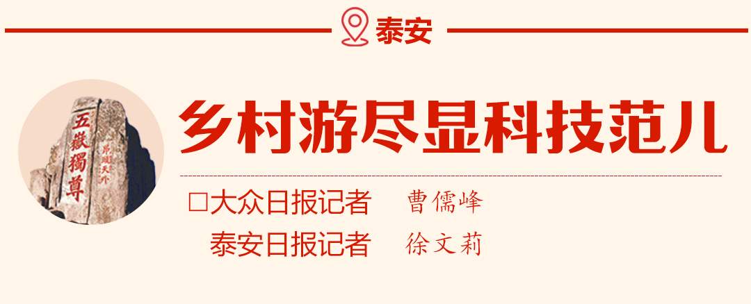 看国庆假期山东烟火气新风尚，大众日报与16市党报联动报道合集来了！