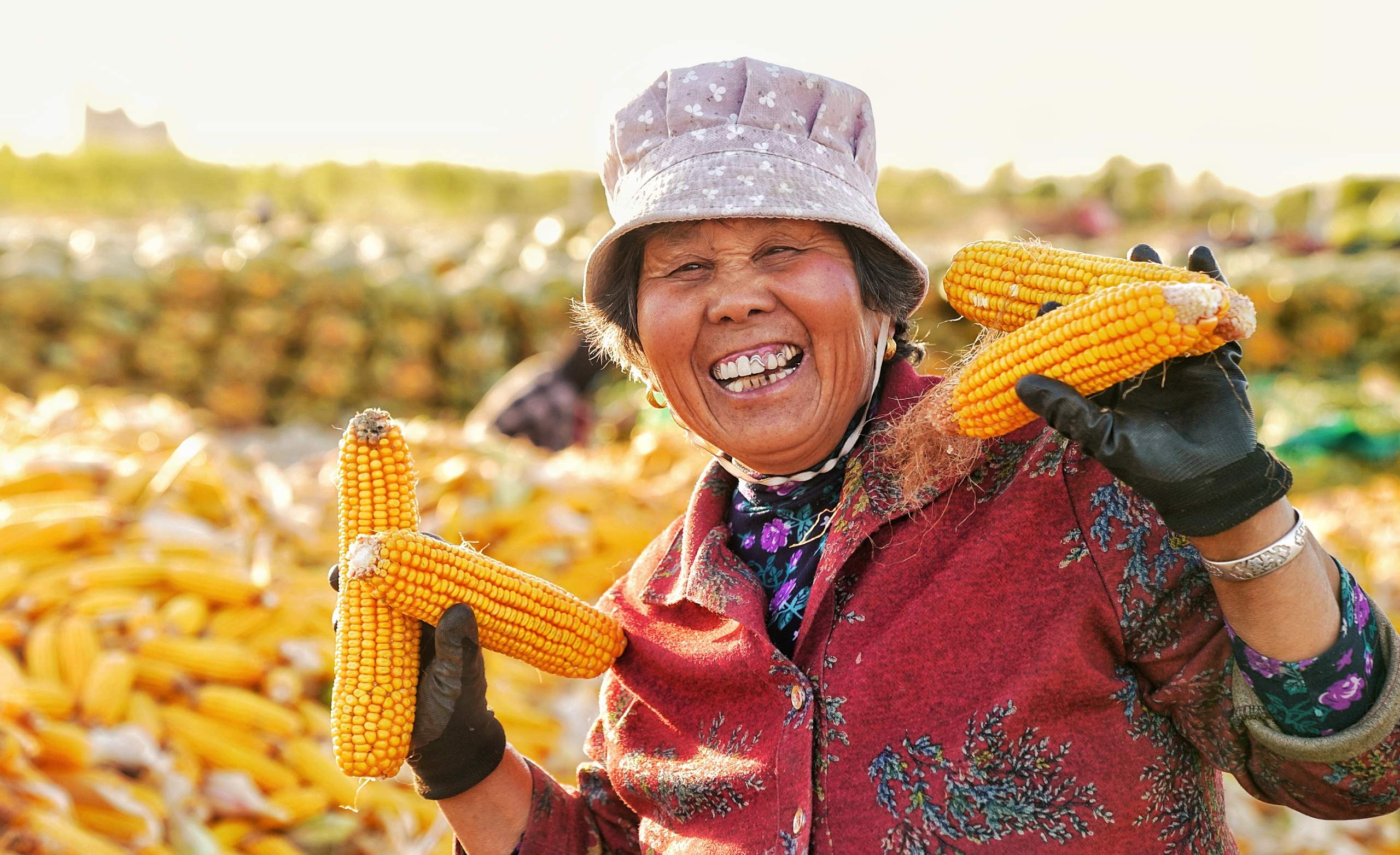 奋进在泉城沃野 奏响乡村振兴强音——深入学习贯彻习近平总书记视察山东重要讲话精神