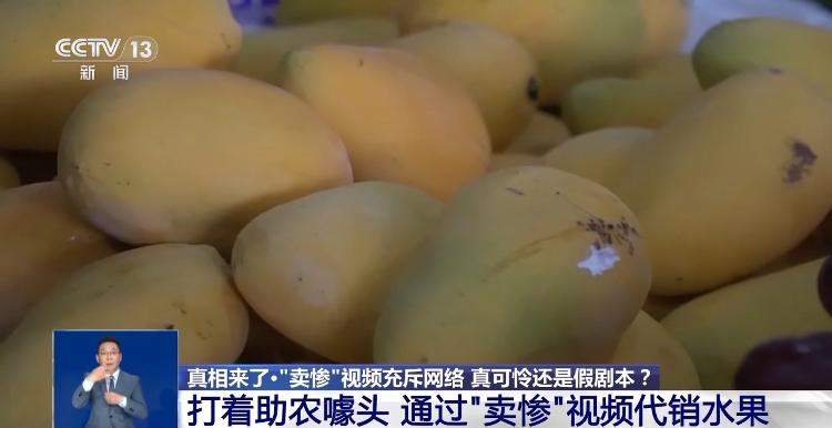 警方查处“卖惨”引流灰产链:这位“单亲爸爸”实有完整家庭