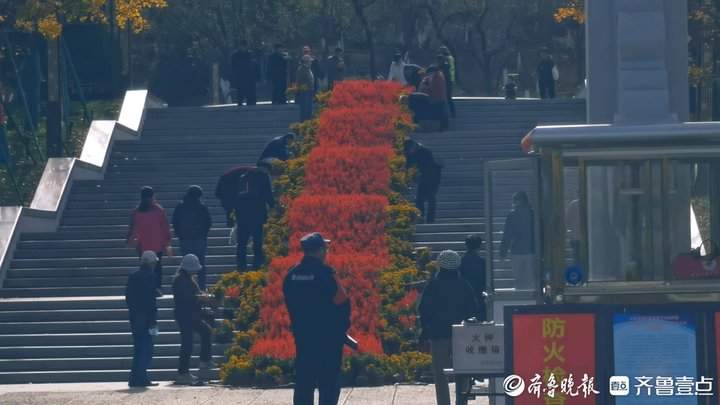 景区鲜花撤展，市民欣喜可以“领养”