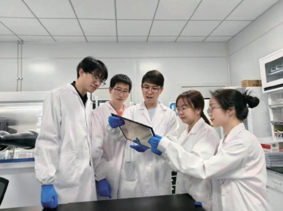 钙钛矿光伏电池的“衰老密码”被揭开