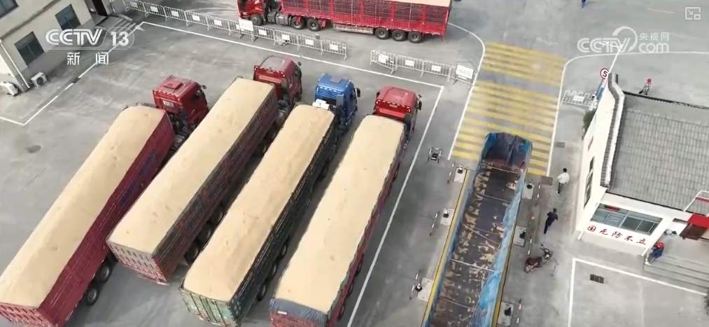 “优化服务+智慧装备” 让农民“少跑路” 确保粮归仓、钱到账