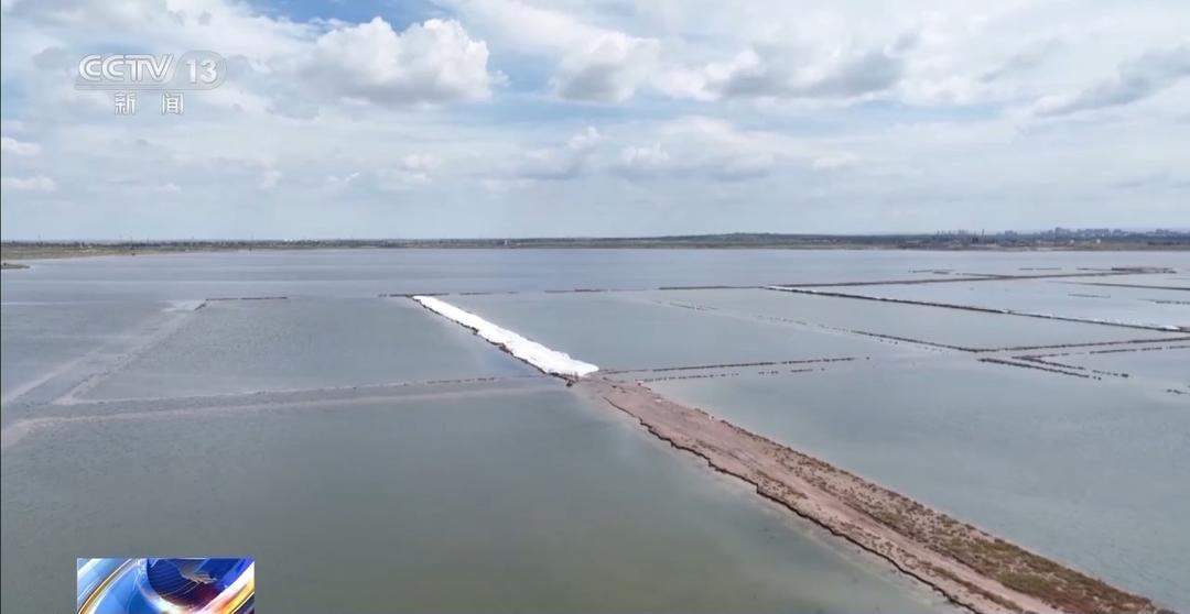 开渔期赶海忙!山东各大鲜活海产“游”进市场