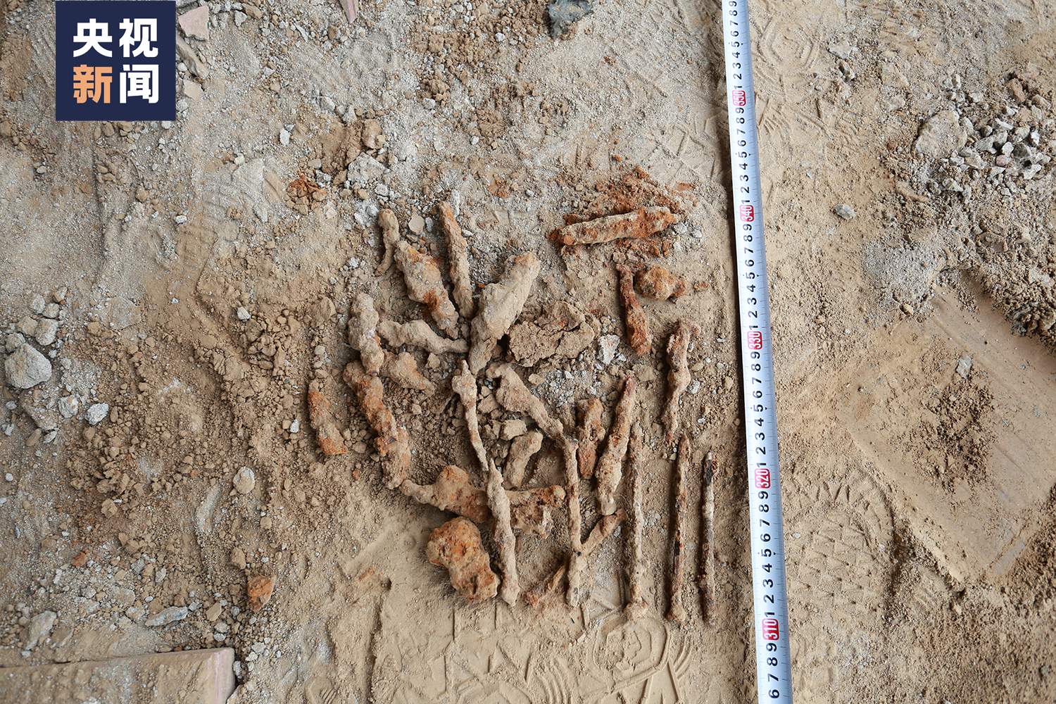 82年了,烈士手中紧紧握着一张照片……她是谁?