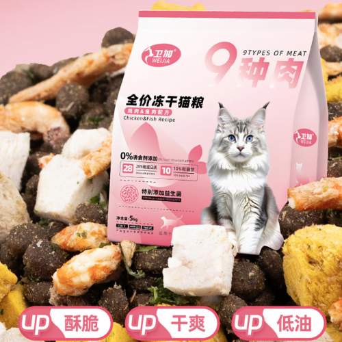 2026 养猫必读｜高性价比猫粮实用推荐 新手避坑指南