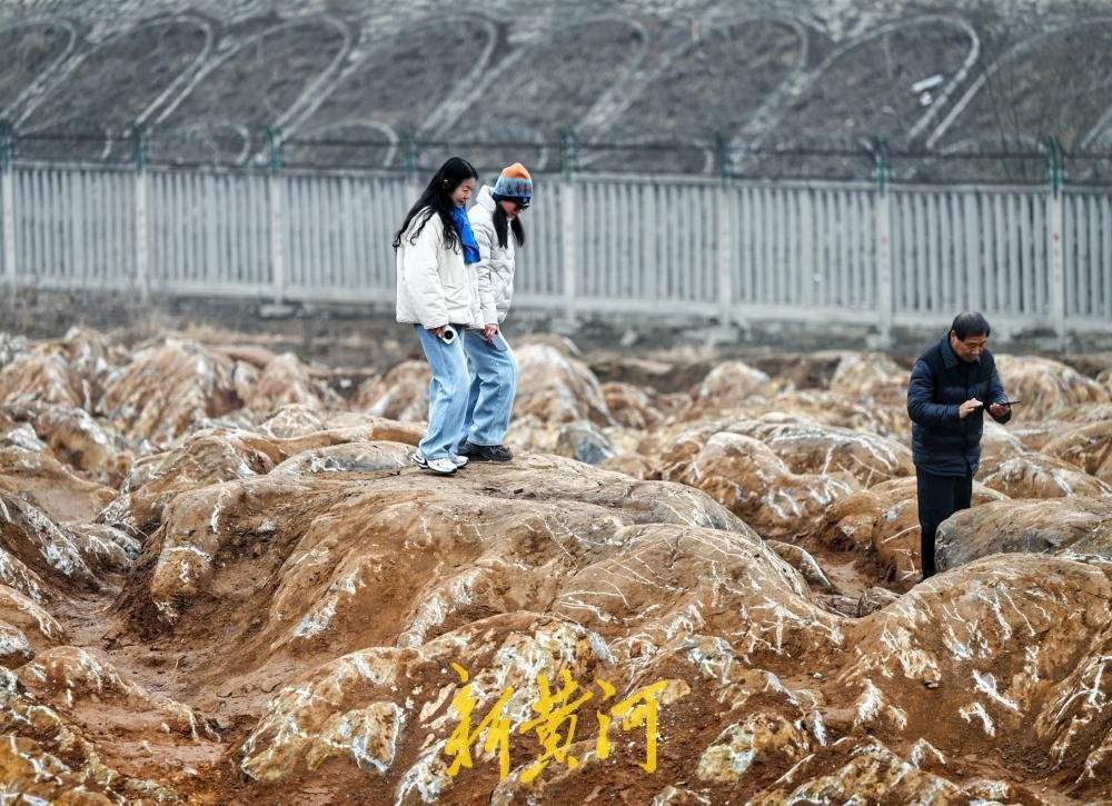济枣铁路宁阳段发现“石海”，吸引众人“打卡”