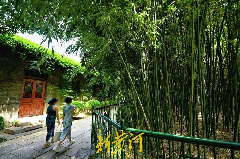 绿荫藏幽境，趵突泉竹林解锁夏日清凉