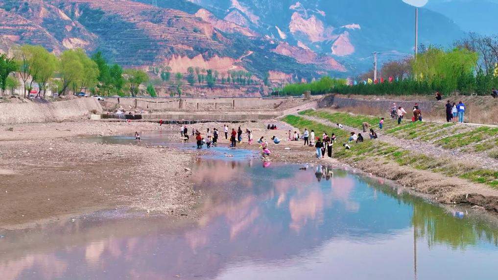 新华视点丨春日焕新景 产业促振兴