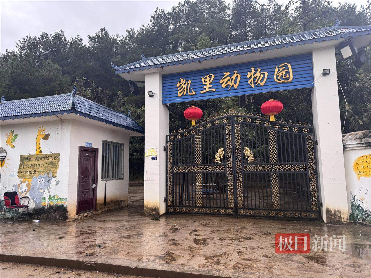 “史上最寒酸”凯里动物园的土路正在硬化铺砖，70岁园长此前担心游客摔倒，志愿者：为周末迎客正加班加点修
