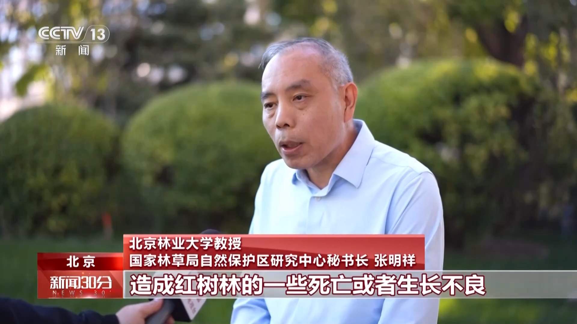 地笼泛滥 红树林保护区竟成赶海“乐园”!记者调查