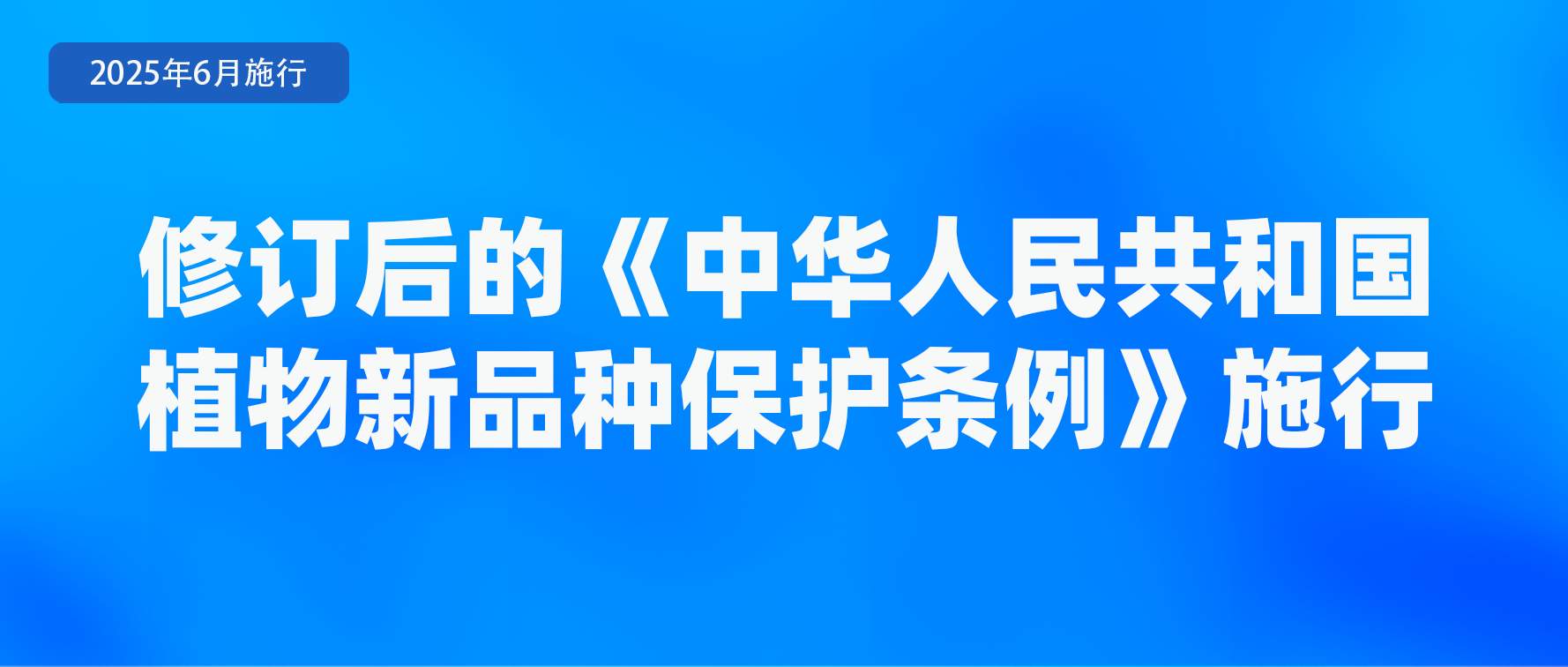涉学前教育、人脸识别技术应用等 6月起这些新规将施行