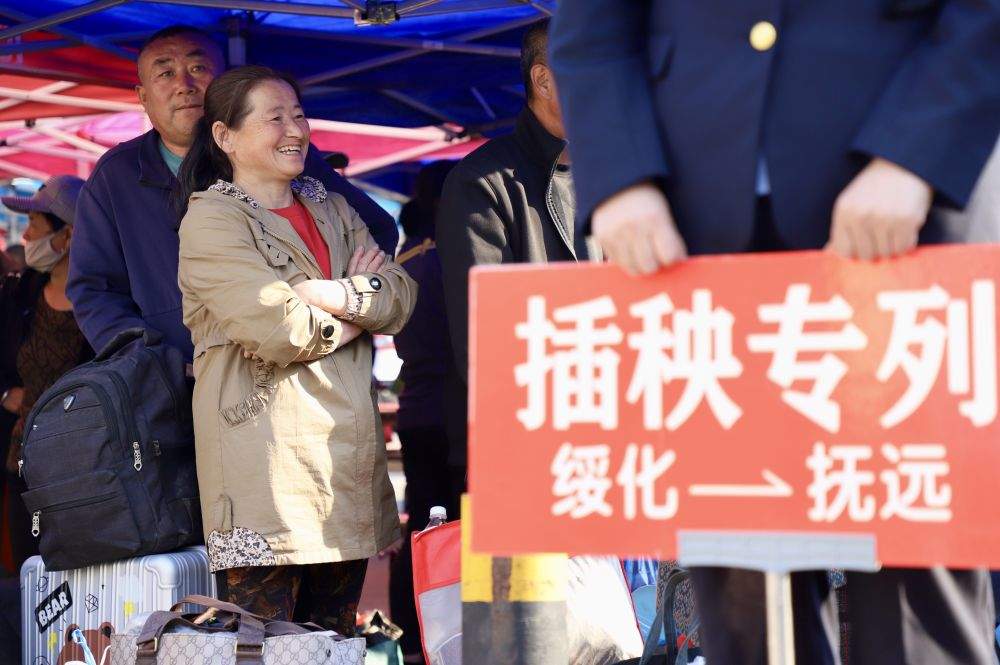 连续25年，“插秧专列”开进三江平原