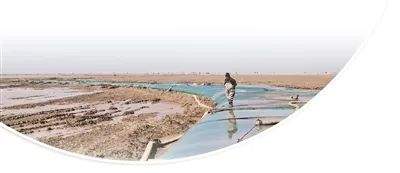 人民日报记者一线调研:山东东营黄河口治“草”记