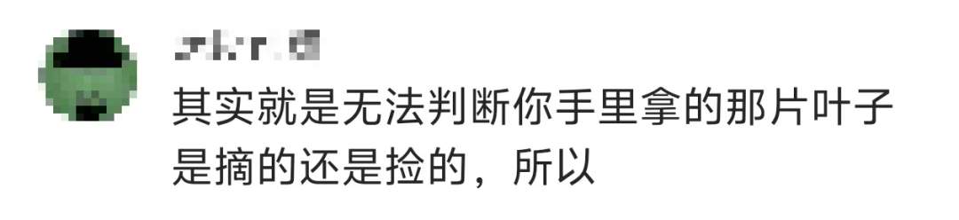 景区禁止游客捡枫叶,网友质疑“太小气”,最新回应