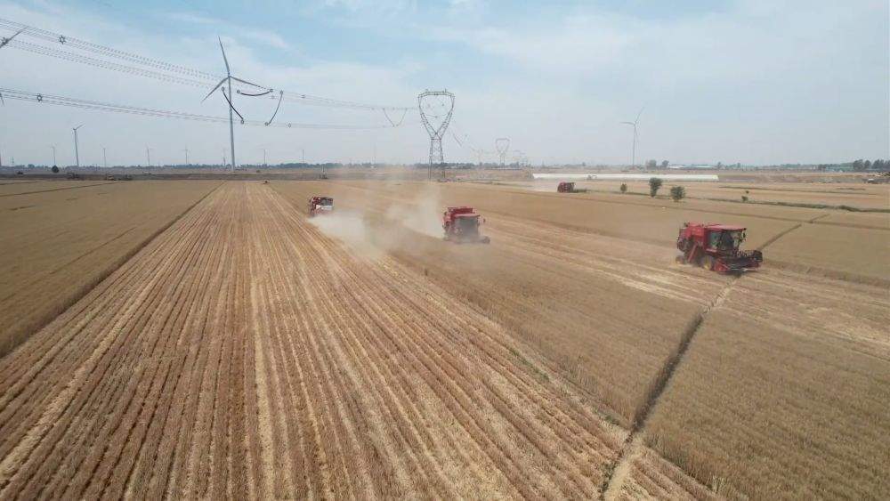 新华视点｜创新驱动 数智领航——以科技创新引领产业创新一线观察