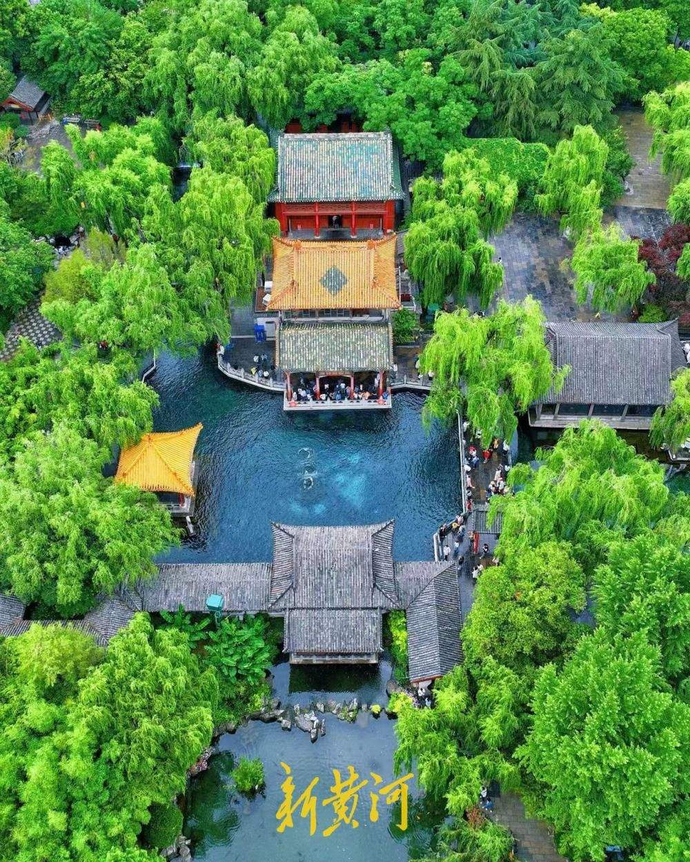 大雨润泉脉，济南泉水再迎盛景