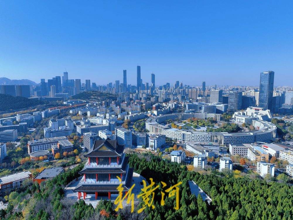 初冬胜景 大山坡公园繁茂林木扮靓泉城