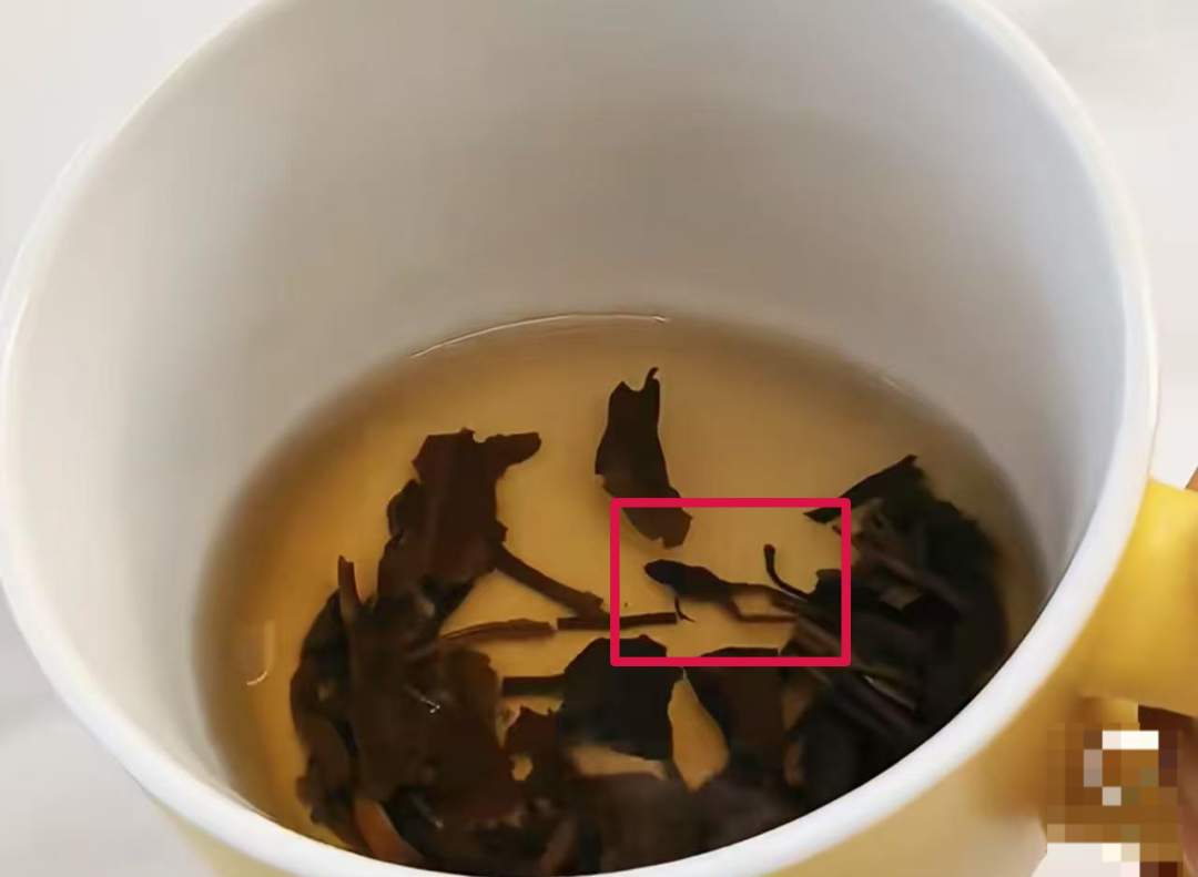 被曝产品中喝出死青蛙?当事人:太恶心了,差点喝嘴里!奈雪的茶回应