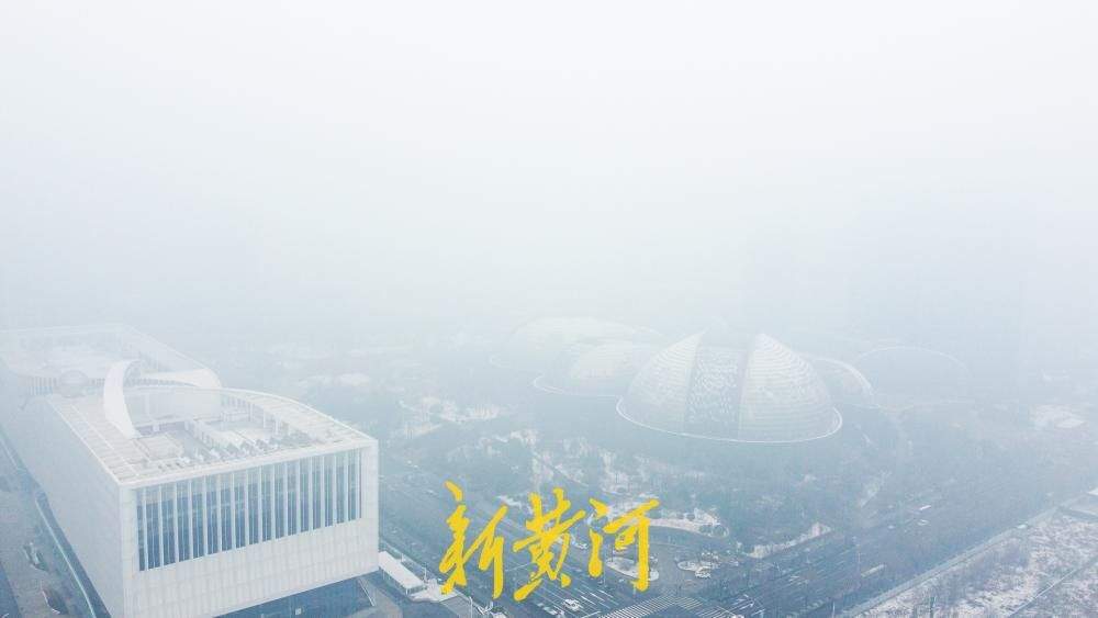 春雪润泉城，雾锁高楼雪覆林