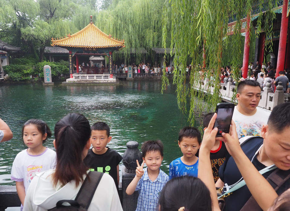 趵突泉游客留影的“黄金点位”，如今被垂柳枝条挡住了