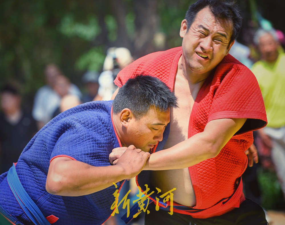 一“跤”高下，济南英雄山下再现摔跤名场面