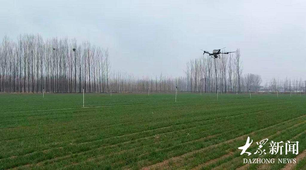 一亩地施肥仅9块钱！山东春耕春管无人机成了绝对主角