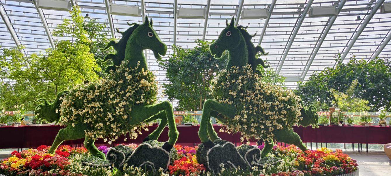 马年寻马,快来打卡济南公园里的“寻马”地图