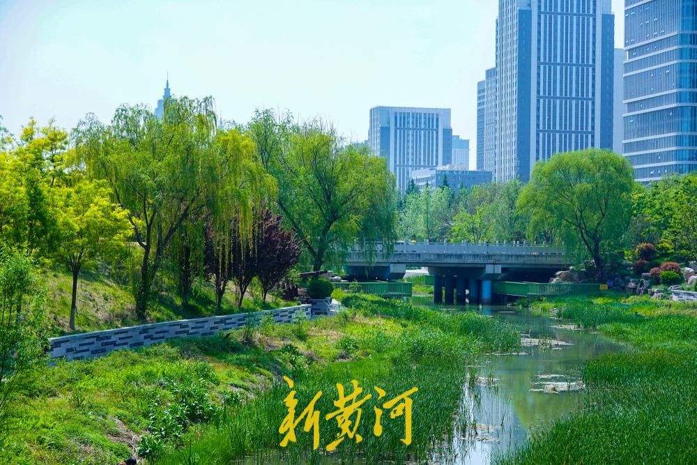 水清岸绿鸟归来,看济南腊山河畔的华丽蝶变