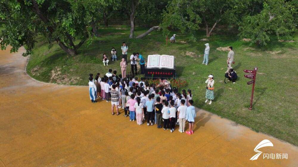 沿着黄河遇见海丨德州夏津：沙生绿 绿生金 古桑树群焕发新生机