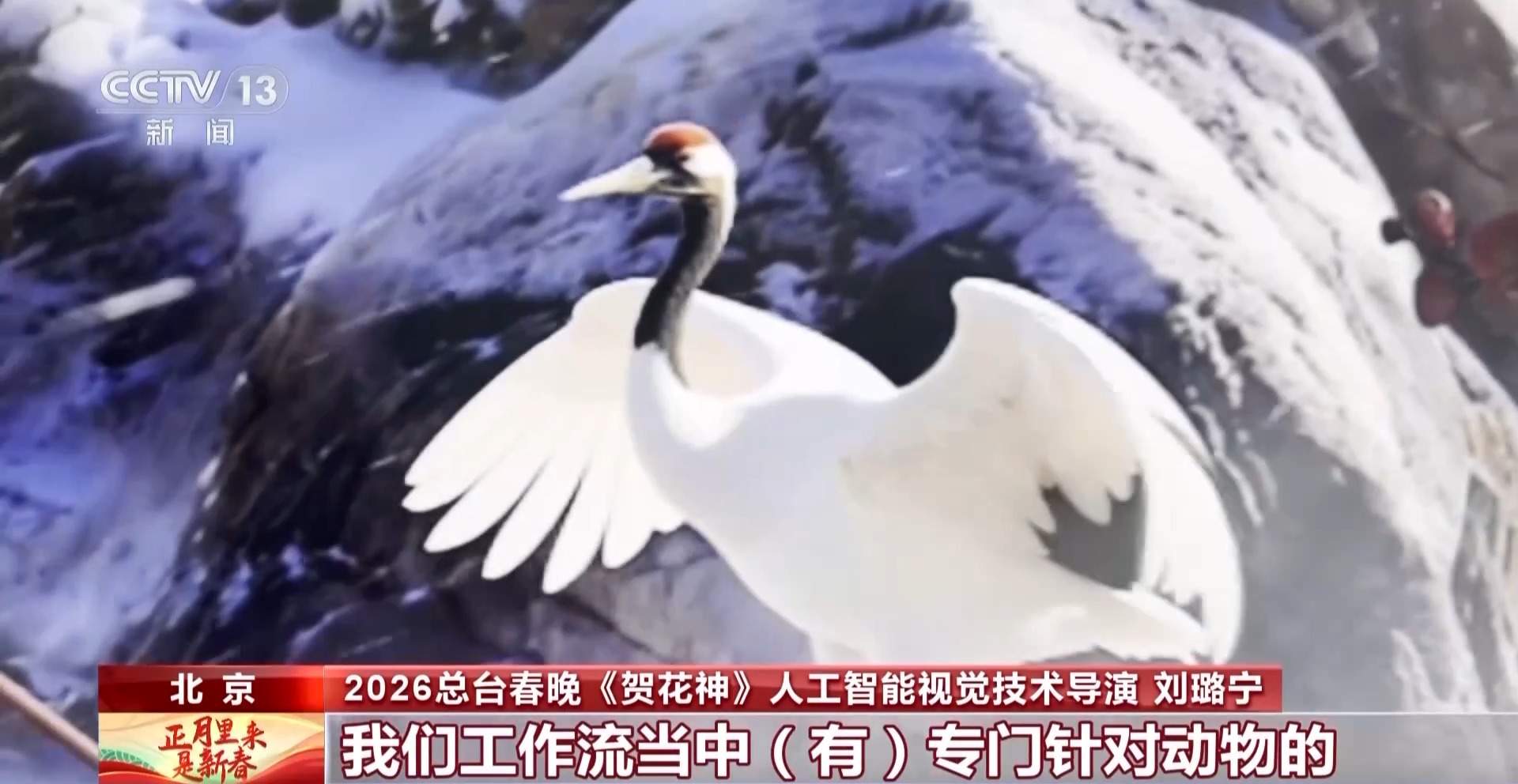 “十二花神”是如何选出的?来看看《贺花神》幕后的故事