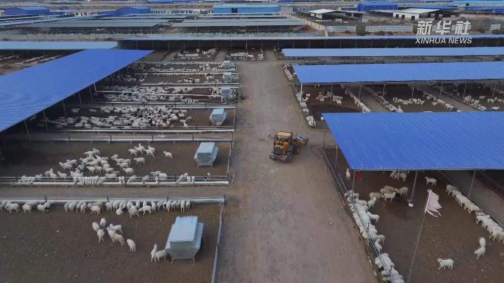 履职为民这一年丨全国人大代表李光霞：让希望的田野充满活力