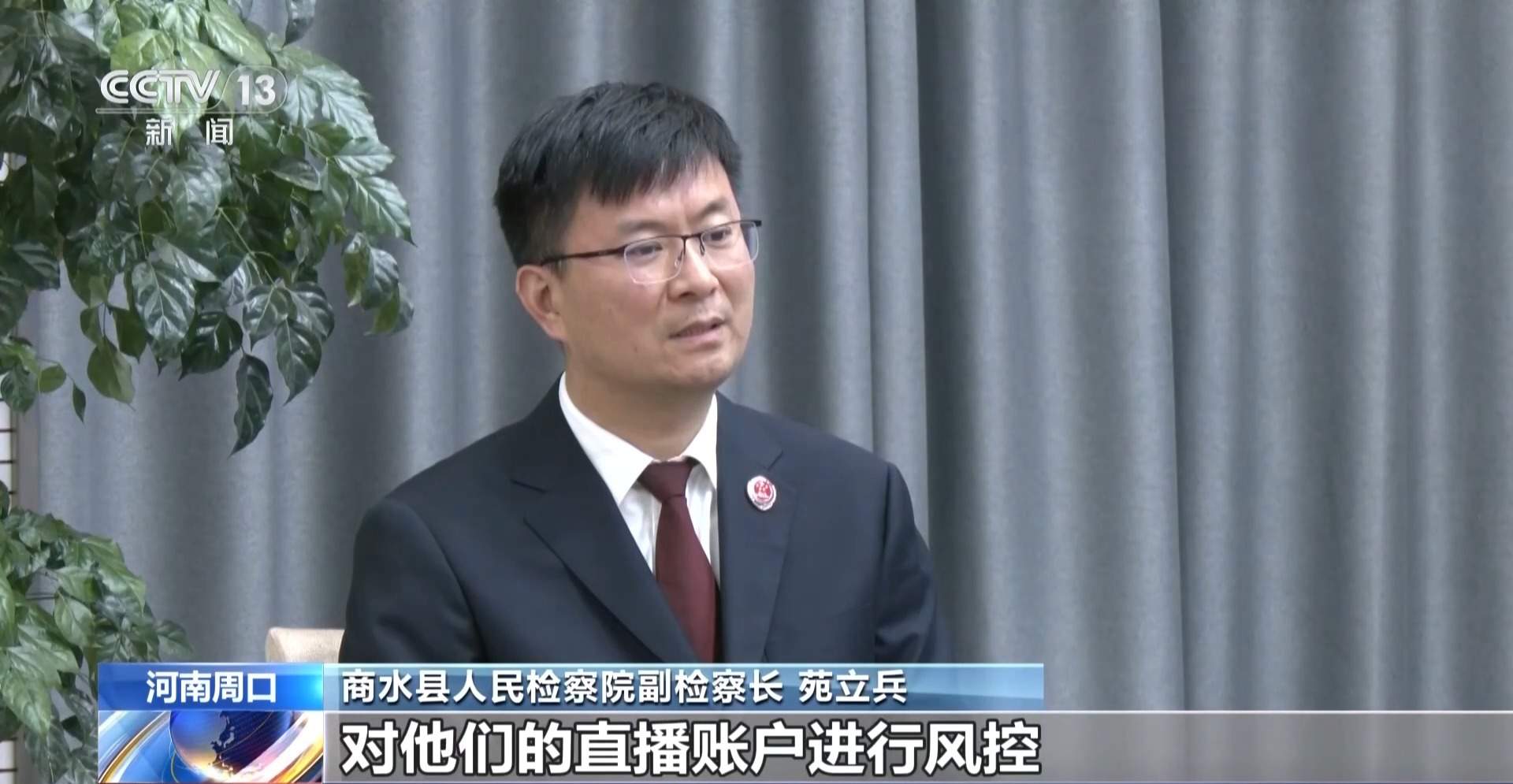 骗250万善款仅3000元用在狗身上 起底流浪动物网络救助骗局