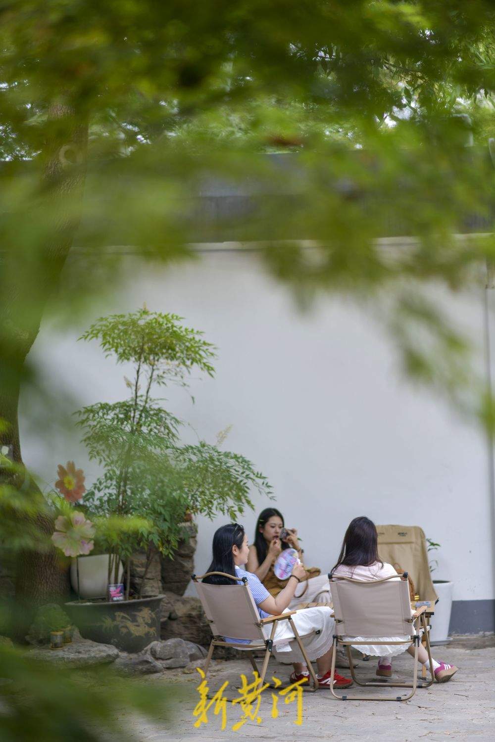 听竹声轻吟，济南百年公园再添新风景