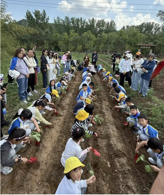 探秘山楂树下的生态课堂 —— 育秀中学小学部2024级6班班本课程(实践篇)
