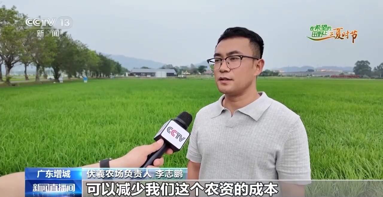 楼里种水稻，一年收四次 探访河套合作区里的室内“稻田”