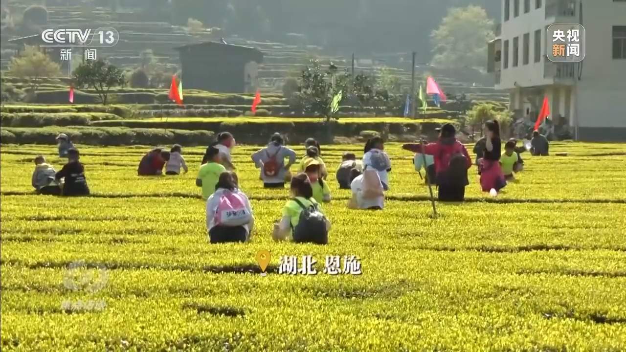 孩子放假大人上班 春假难点如何破?