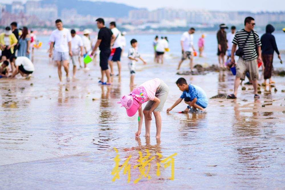 踏浪赶海讨海货，夏日来山东玩海吧